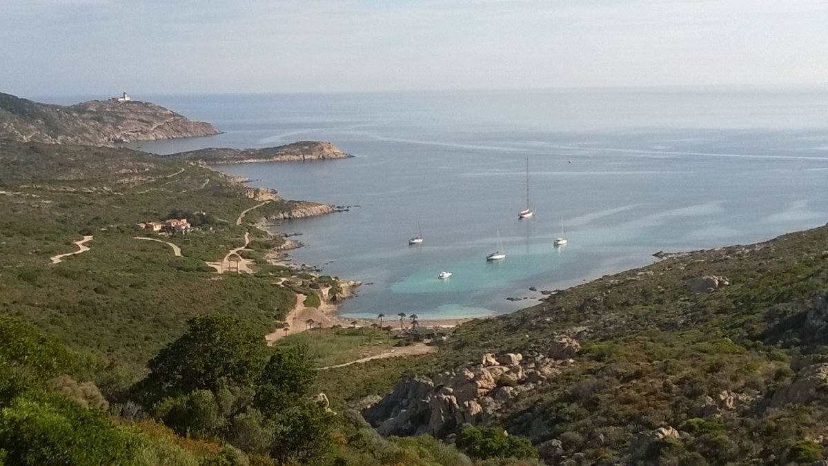 Calvi cove.jpg