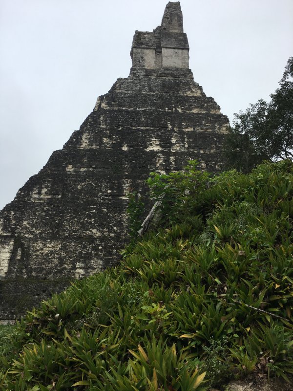 Tikal - Temple I - Jaguar Pyramid side