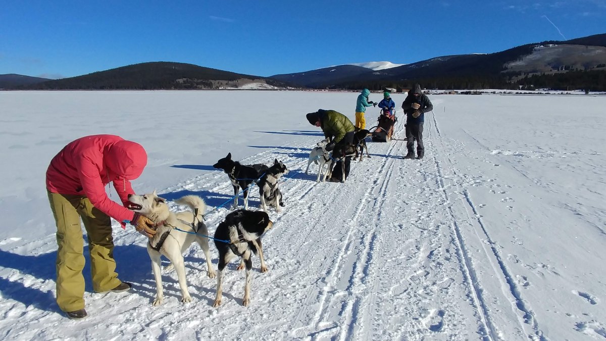 Dog sledding with the family