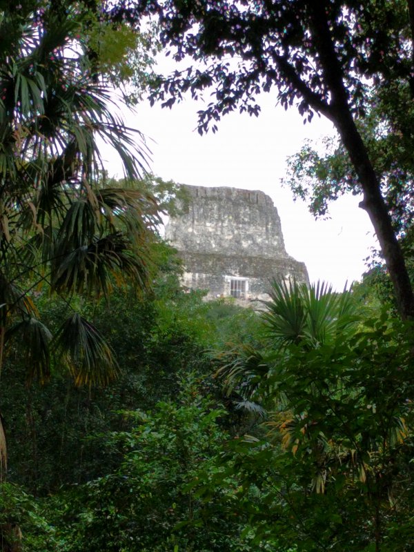 Tikal - Temple IV from a distance