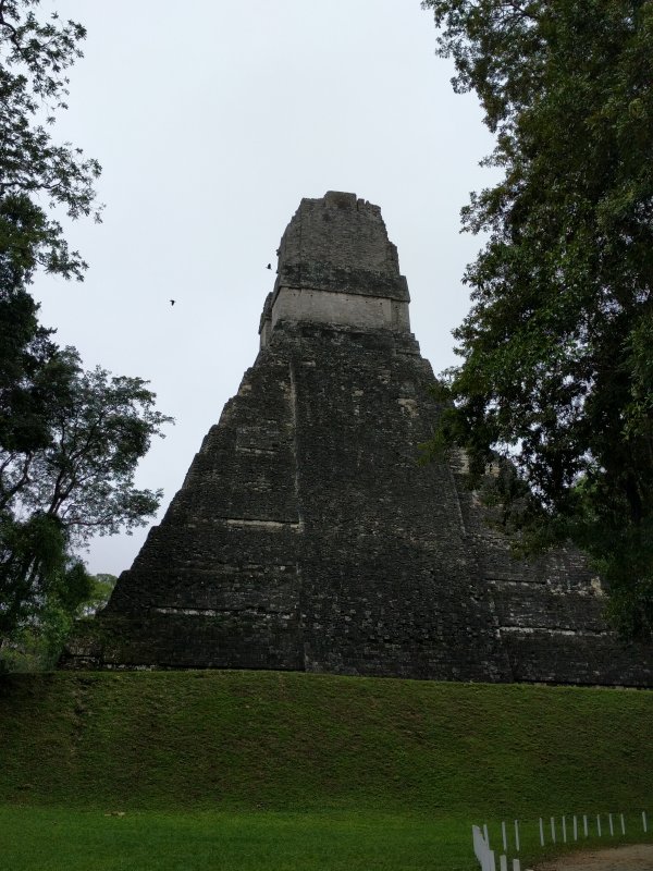 Tikal - Temple I - Jaguar Pyramid back