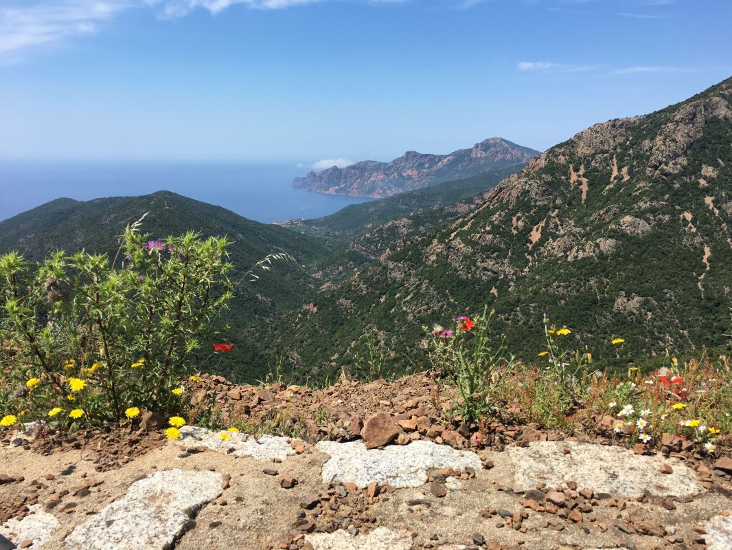 Calvi to Porto, view to Mediterranean