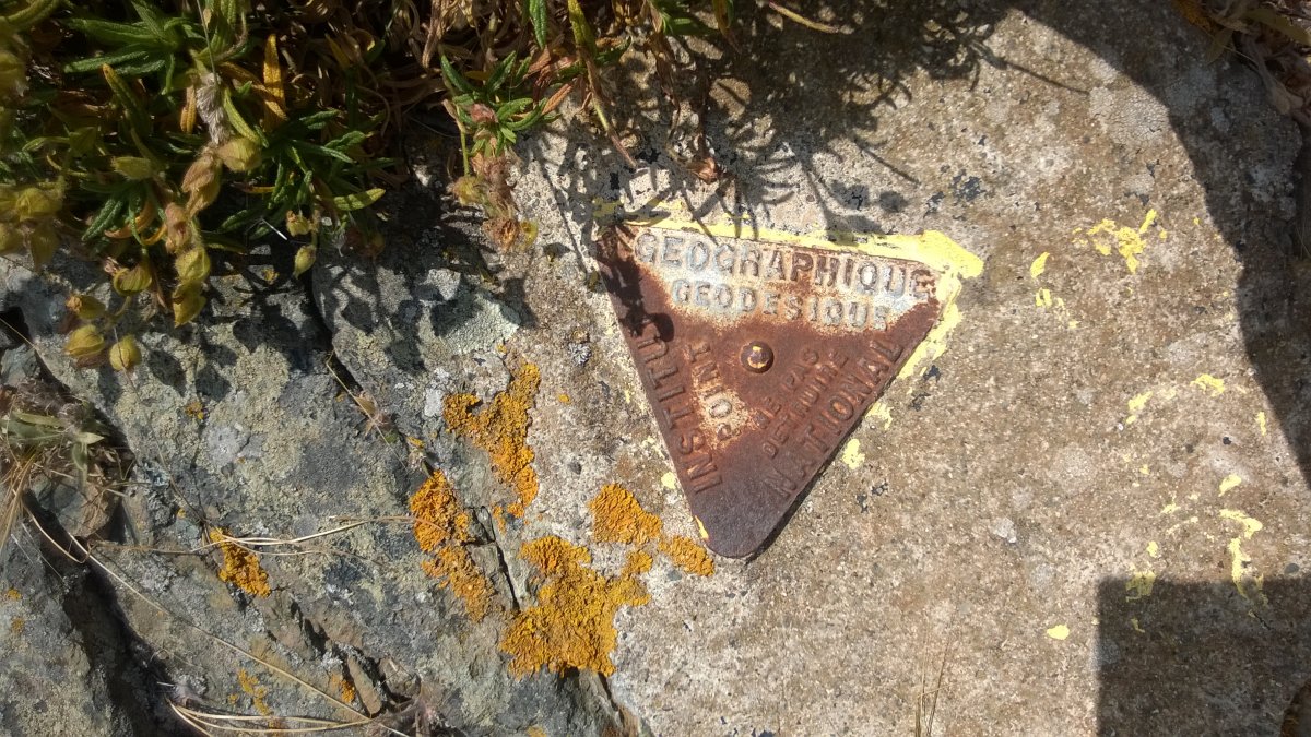 survey marker