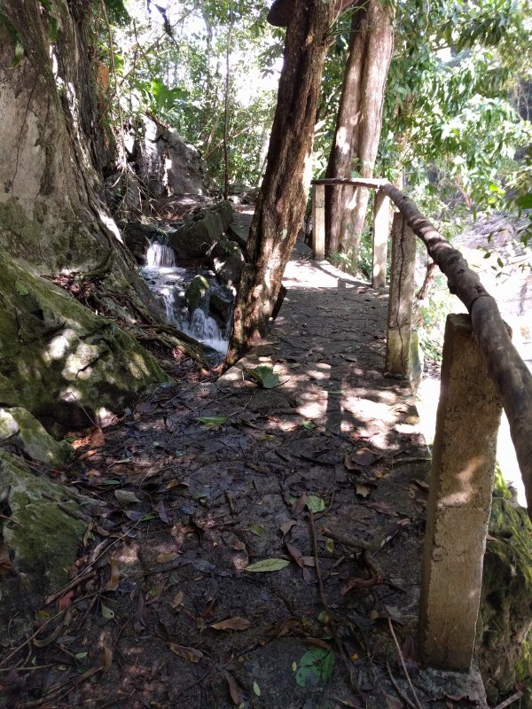 Seacacar - Trail bridge over side stream